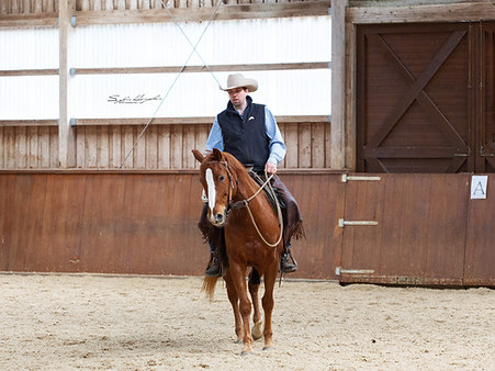 Finesse - Reiten mit Kontakt