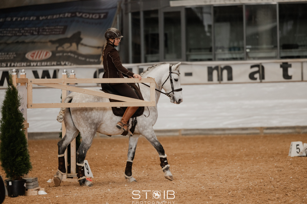 Nina Gassner auf einem Working Equitation Turnier Nina Gassner auf einem Working Equitation Turnier