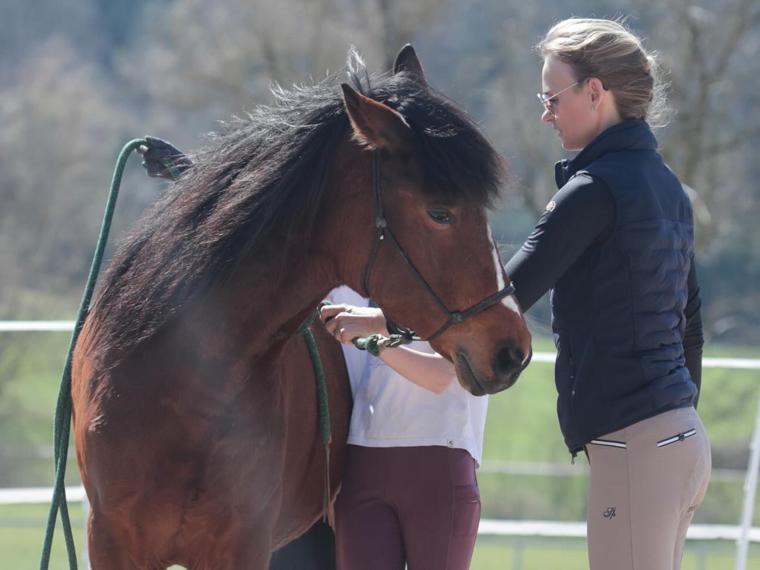 Intensivtage mit Nina Gassner Intensivtage mit Nina Gassner