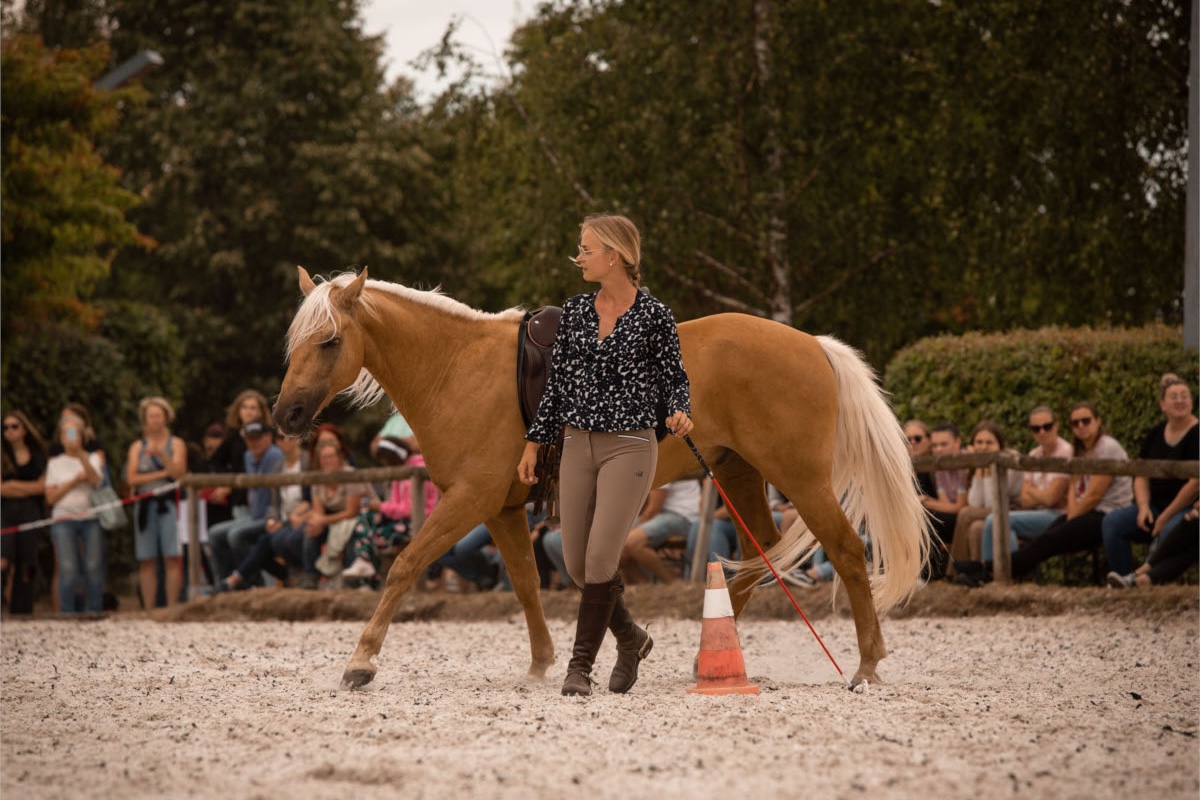 Parelli Instruktor Nina Gassner und Lazar Parelli Instruktor Nina Gassner und Lazar