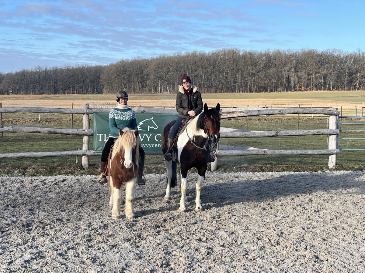 Parelli Intensivtage Parelli Intensivtage