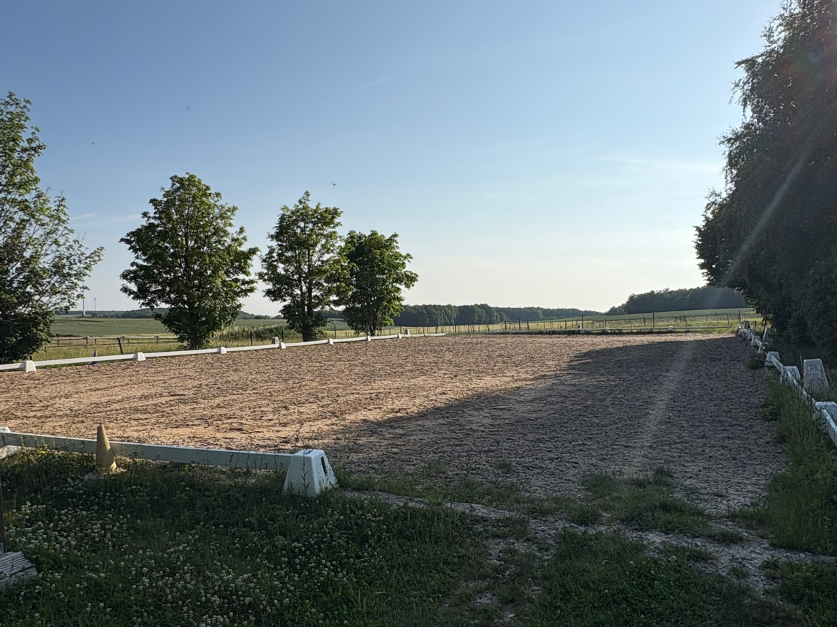 Pensionsstall mit Dressurplatz