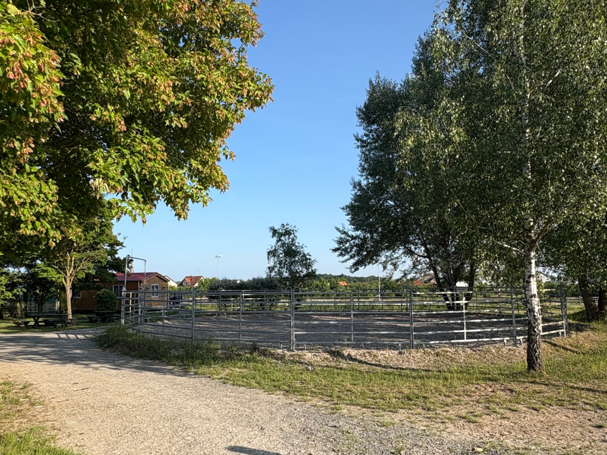 Pensionsstall mit Roundpen